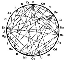 Mineral_Elements