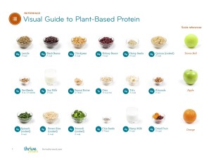 Plant-Based-Protein