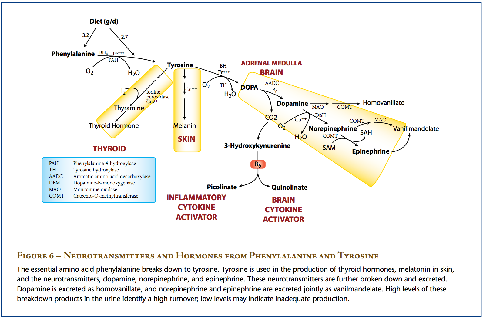 genova diagnostics complete hormone requisition