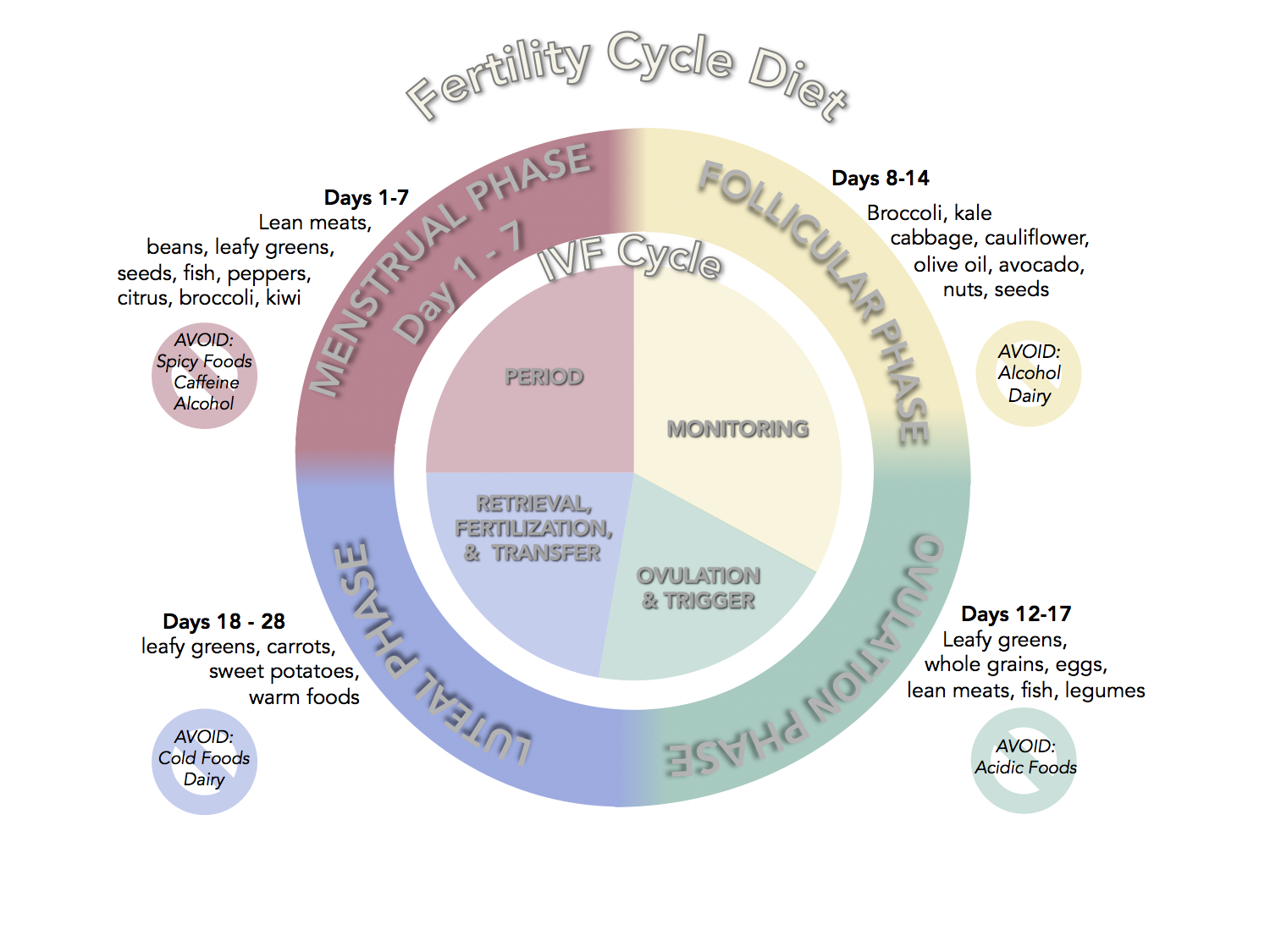 Women S Fertility Cycle Chart